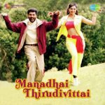 Manadhai Thirudivittai Lyrics