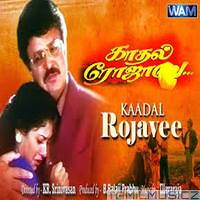 mov kadhal rojave