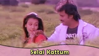 Selai Kattum Pennukkoru Song Lyrics