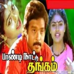 Paandi Nattu Thangam Lyrics