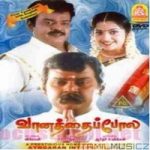 Vaanathaippola Lyrics