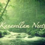 kanavellam neethane