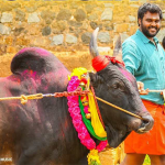 Kombula Kombula Lyrics — Madura Veeran