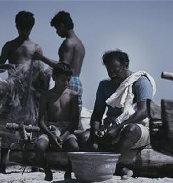 Yaar Vettu Song Lyrics