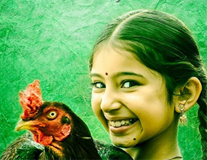 Kokkara Kozhi Song Lyrics