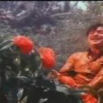 Aayiram Ninaivu Aayiram Kanavu Lyrics — Avalukendru Oru Manam