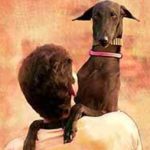 Vanakkam Vanakkamunga Song Lyrics