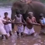 Aathukulla Aira Meenu Song Lyrics