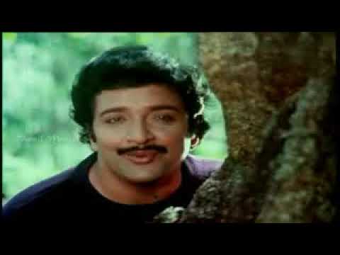 Paadum Vanambadi Song Lyrics