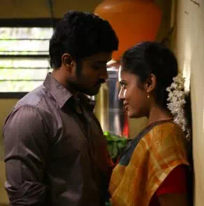 Veetukkulla Vaanavillu