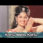 Kattu Mella Kattu