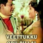 Veettukku Oru Pillai Lyrics
