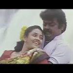 Vidala Pulla
