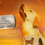 Anbulla Ghilli Lyrics