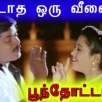 Meethaatha Oru Veenai