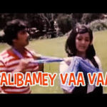 Pon Vaana Poongavil Lyrics — Valibamey Vaa Vaa