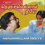 Kannanin Tholil Intha Lyrics — Nenjamellam Neeye