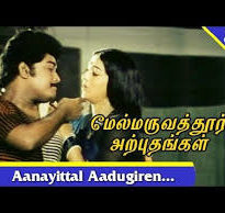 Aanaiyittal Aadukkiren Song Lyrics