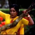 Paavai Nee Malaigai Paal Nila Lyrics — Deiveega Raagangal