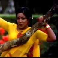 Paavai Nee Malaigai Paal Nila Song Lyrics