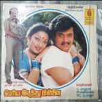 Manasula Enna Nenache Lyrics — Periya Idathu Pillai