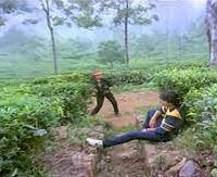 Oru Pattampoochi Enna Vitta Song Lyrics