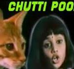 Chutti Poonai