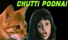 Chutti Poonai