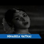Ninakka Vaithai