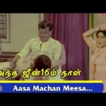 Aasa Machan Meesa Mele