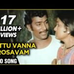 Pattu Vanna Rosavam Female Lyrics — Kanni Paruvathile