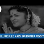Nellukkulle Arisi Iruppathu Song
