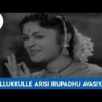 Nellukkulle Arisi Iruppathu Song