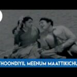 Thoondiyil Meenum Vizhunthirukku Song