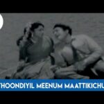 Thoondiyil Meenum Vizhunthirukku Lyrics — Manamulla Marutharam