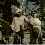 Yeru Pudichavare Lyrics — Karaiyellam Shenbagapoo