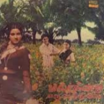 Nalla Naalum Pozhuthuma Lyrics — Malargindra Paruvathile