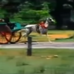 Vaangada Vaanga Song