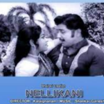 Nellikani Lyrics