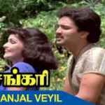 Manjal Veiyil Sevvanathil Song