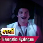 Neengatha Nyabagam Song