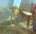 Kagam Karainjiruchi Kakkiruttu Song