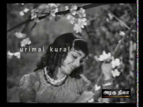 Kaattu Kuyilukkum Song