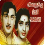 Selai Virkkum Kadai Song