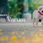 Neram Varum Lyrics — Album Songs 2023