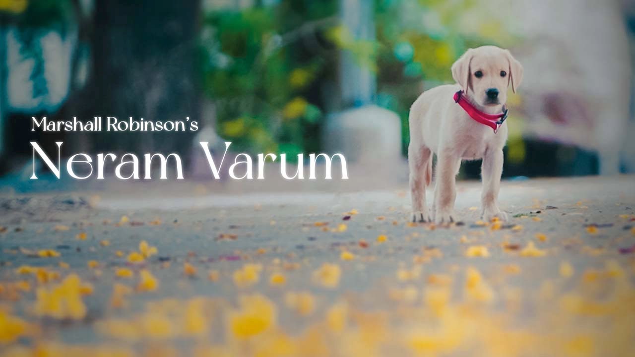 Neram Varum Song Lyrics