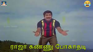 Raja Kannu Pogathadi Lyrics — Naan – 1967 Film