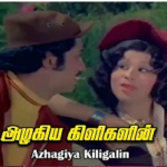 Azhagiya Kiligalin Lyrics — General Chakravarthi