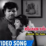 Enakkulle Nee Female Lyrics — Jeevanamsam