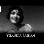 Yelantha Pazham Lyrics — Panama Pasama